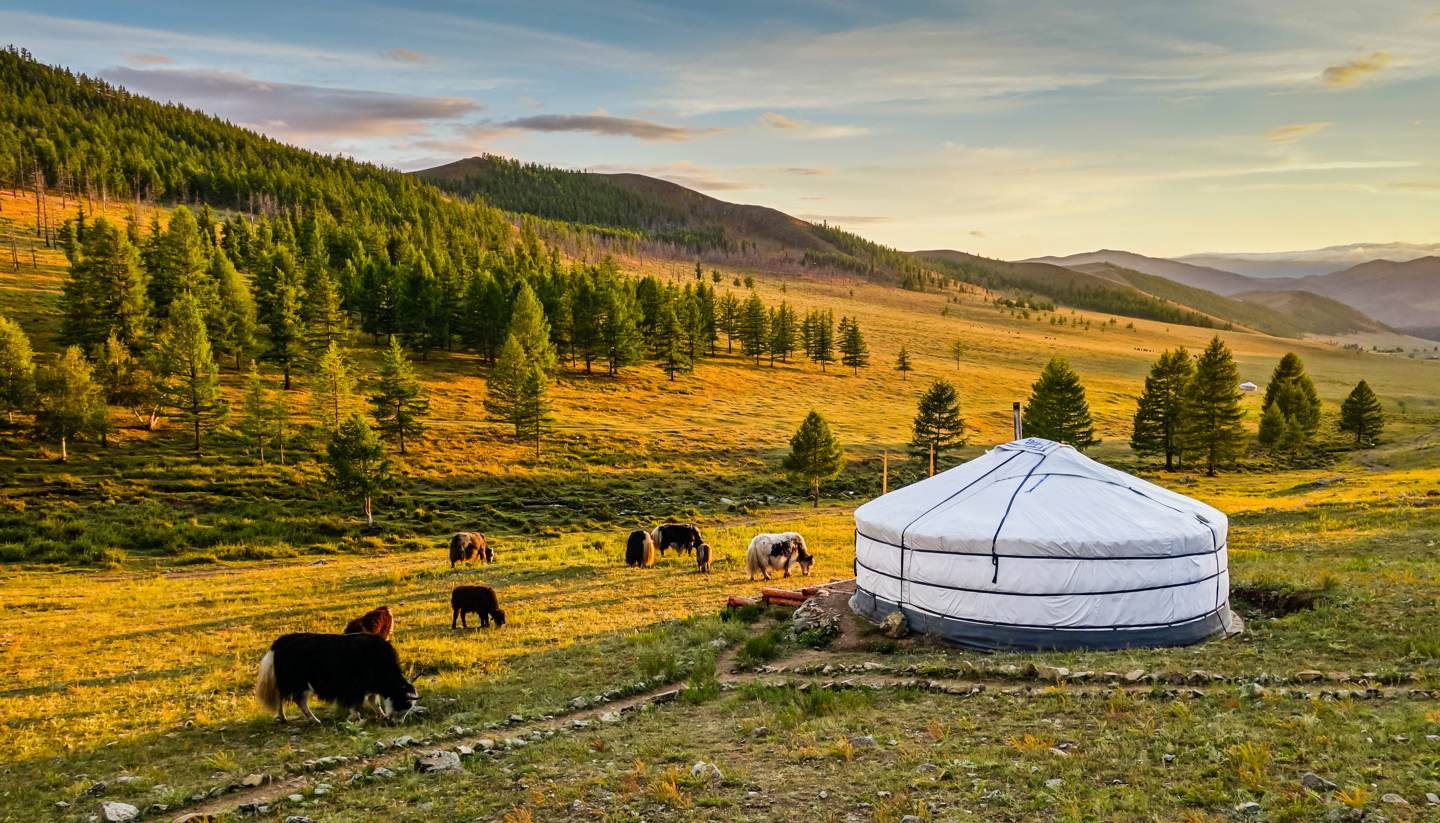 travelling to Mongolia
