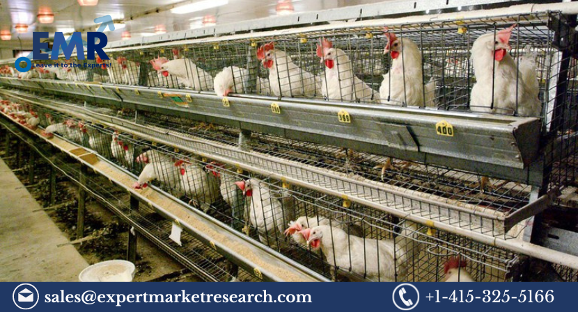 India Poultry Management Market